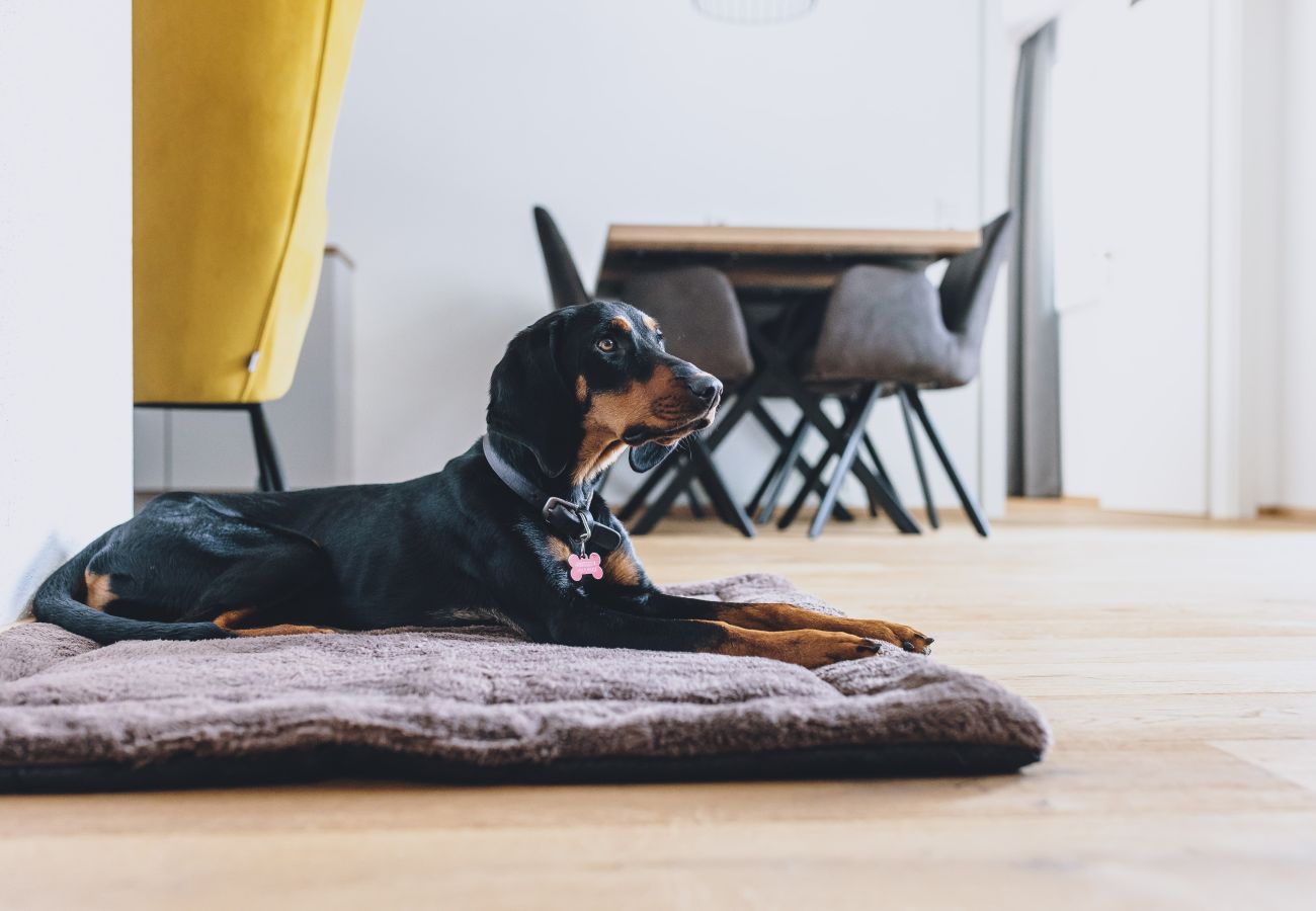 Apartment in Rauris - M1 - Penthouse Apartment