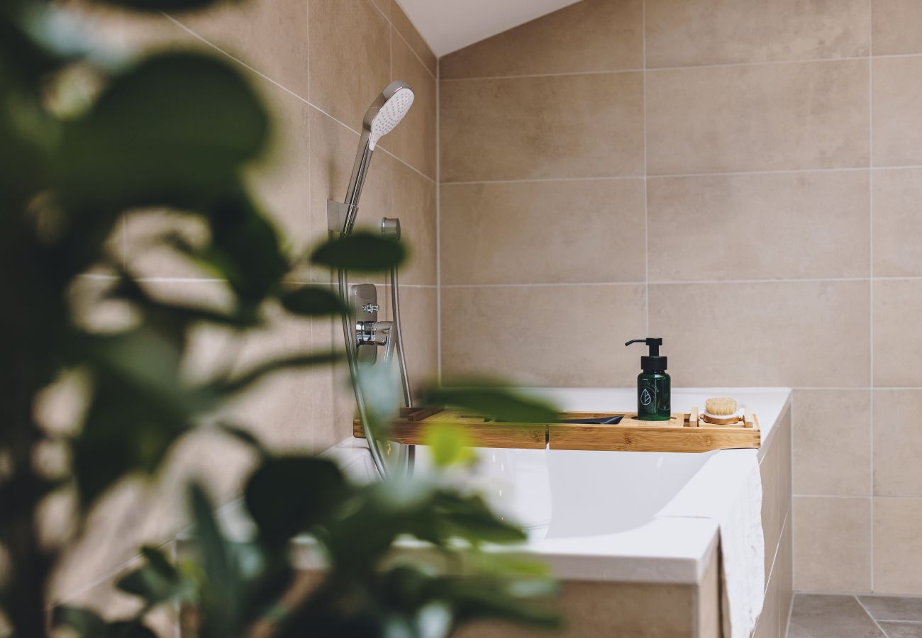 Apartment in Rauris - M1 - Penthouse Apartment