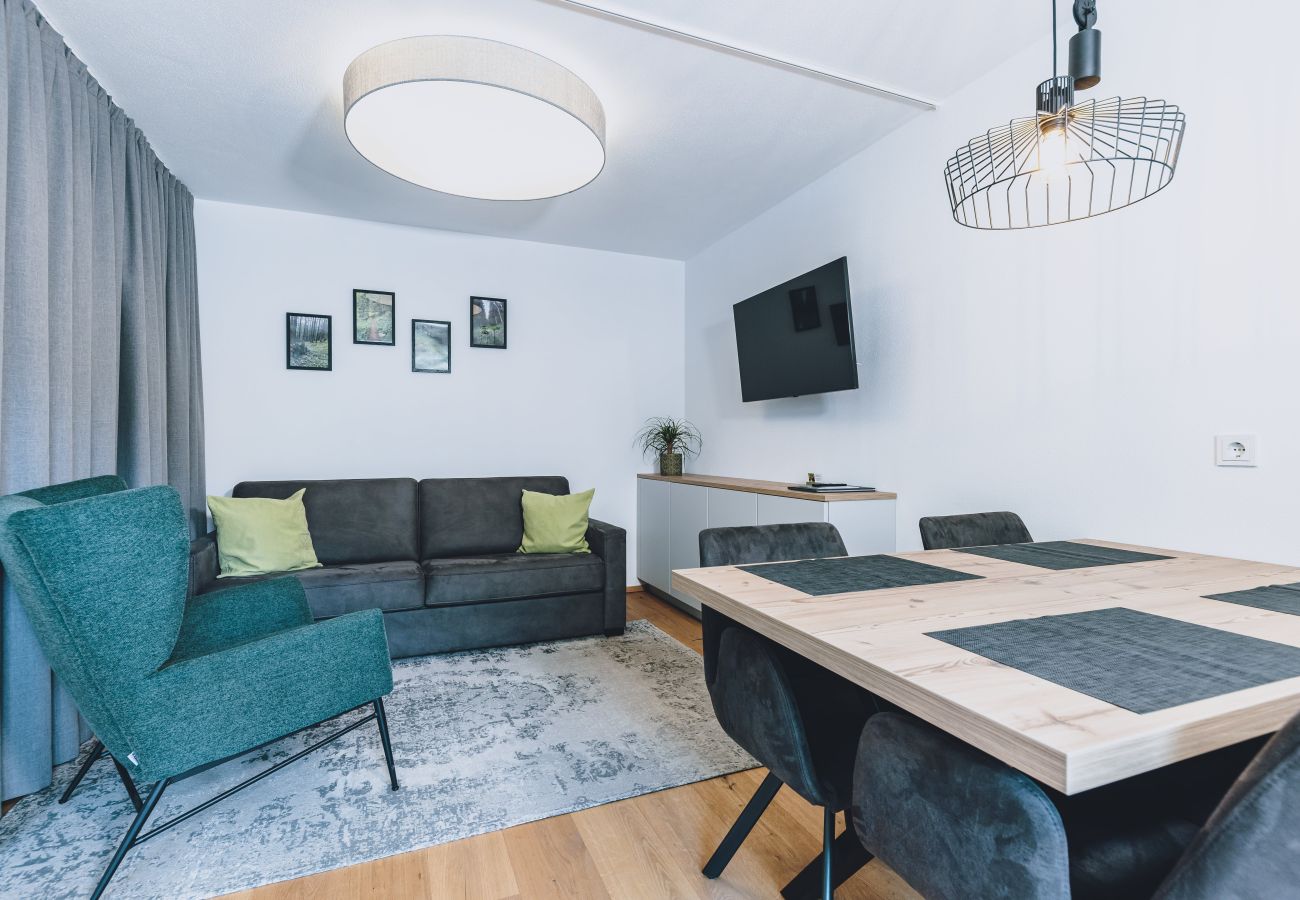 Ferienwohnung in Rauris - M1 - Balcony Apartment 4